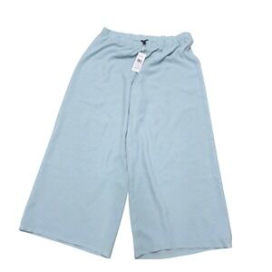 $278 NWT EILEEN FISHER Silk Georgette Crepe Wide Ankle Pants Light Blue XL